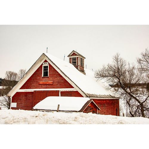 Jones, Alison 아티스트의 USA-Vermont-Cambridge-Lower Pleasant Valley Road-red barn in snow작품입니다.